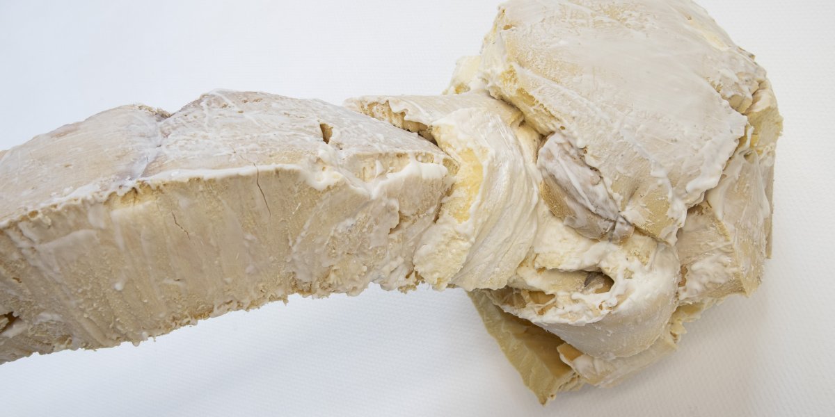 Millo Op de Beeck - De beste stuurlui staan aan wal